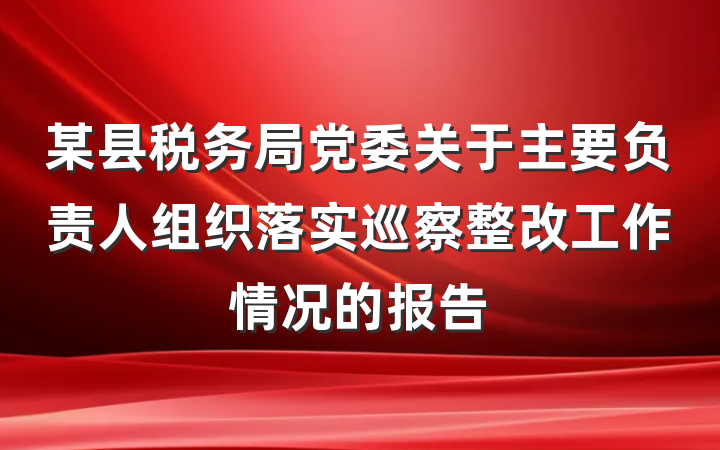 某县税务局党委关于主要负责人组织落实巡察整改工作情况的报告