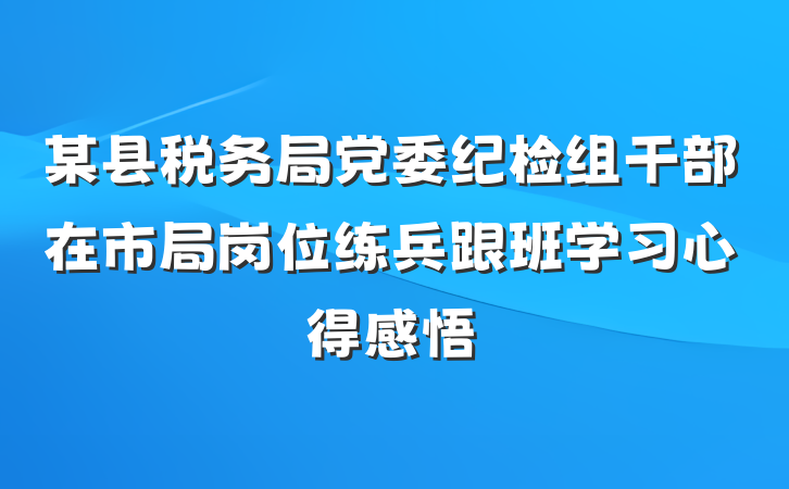 某县税务局党委纪检组干部在市局岗位练兵跟班学习心得感悟