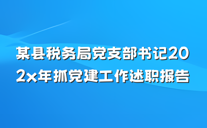 某县税务局党支部书记202x年抓党建工作述职报告