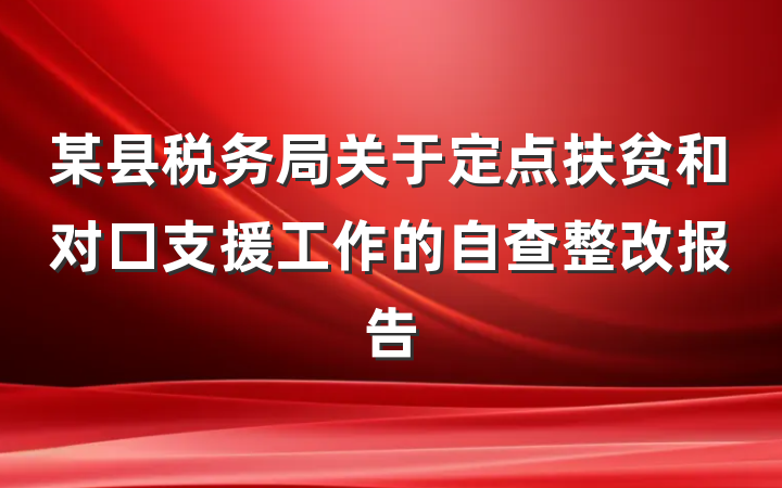 某县税务局关于定点扶贫和对口支援工作的自查整改报告