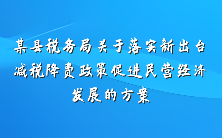 某县税务局关于落实新出台减税降费政策促进民营经济发展的方案