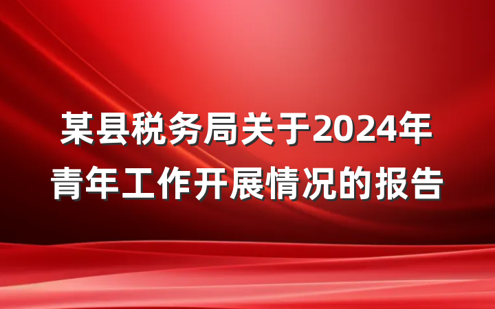 某县税务局关于2024年青年工作开展情况的报告