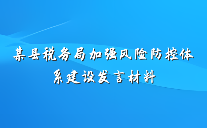 某县税务局加强风险防控体系建设发言材料
