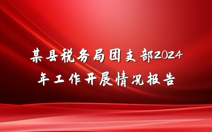 某县税务局团支部2024年工作开展情况报告