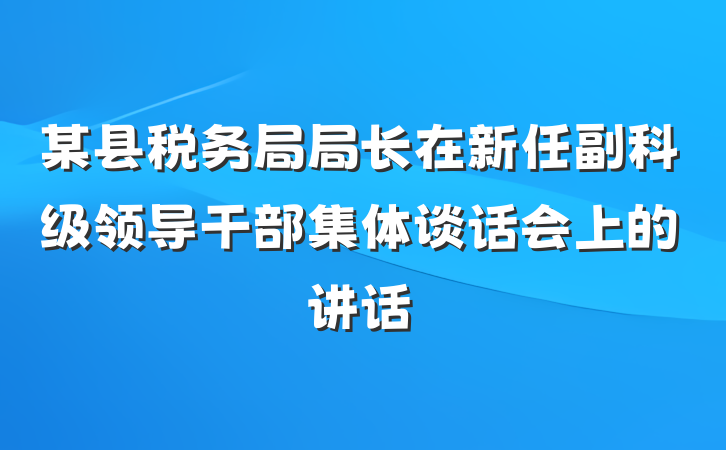 某县税务局局长在新任副科级领导干部集体谈话会上的讲话