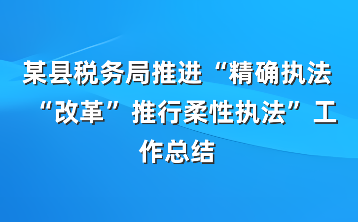 某县税务局推进“精确执法“改革”推行柔性执法”工作总结