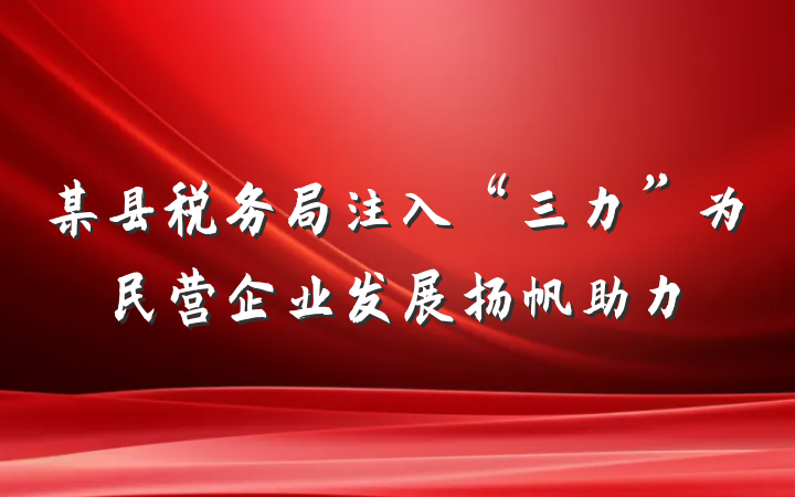 某县税务局注入“三力”为民营企业发展扬帆助力