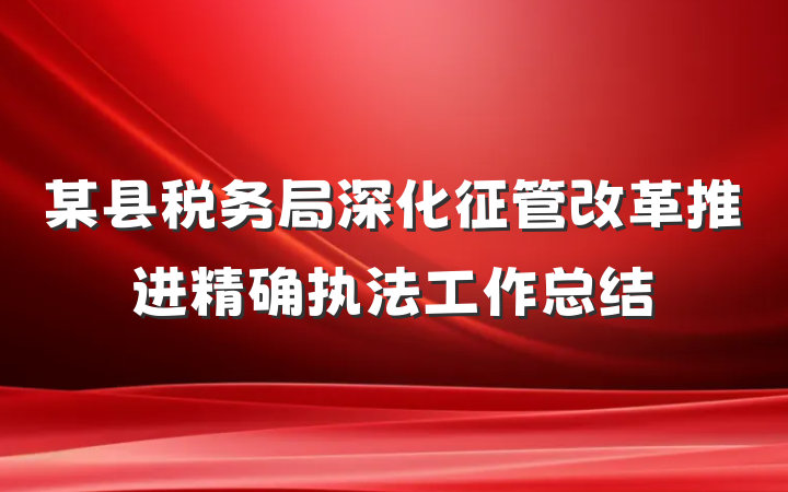 某县税务局深化征管改革推进精确执法工作总结