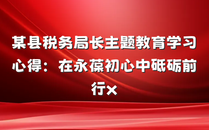 某县税务局长主题教育学习心得：在永葆初心中砥砺前行x