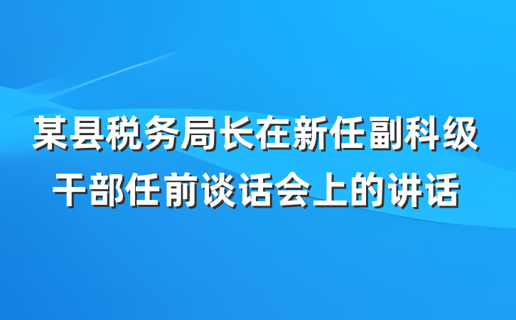 某县税务局长在新任副科级干部任前谈话会上的讲话