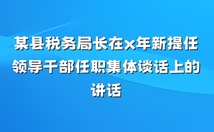 某县税务局长在x年新提任领导干部任职集体谈话上的讲话