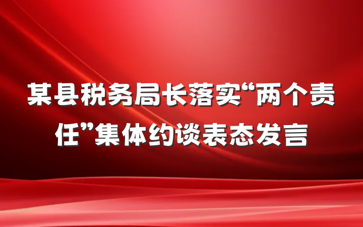 某县税务局长落实“两个责任”集体约谈表态发言