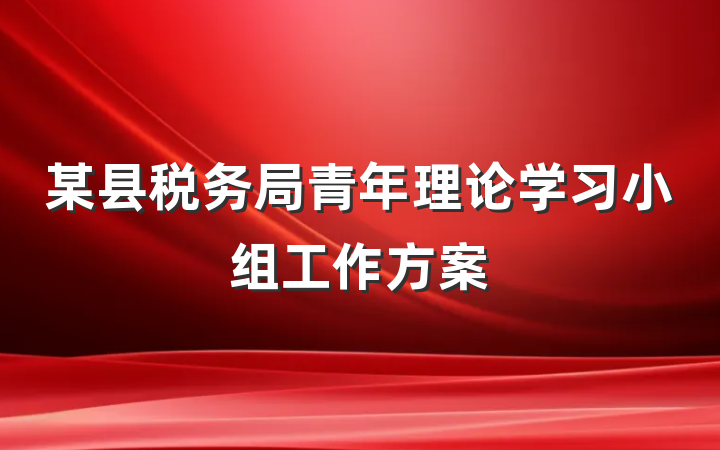 某县税务局青年理论学习小组工作方案