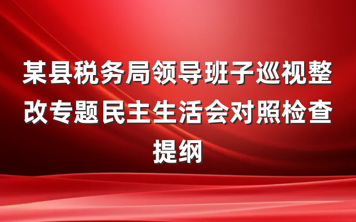 某县税务局领导班子巡视整改专题民主生活会对照检查提纲
