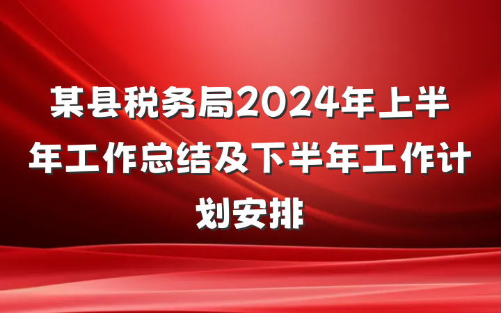 某县税务局2024年上半年工作总结及下半年工作计划安排