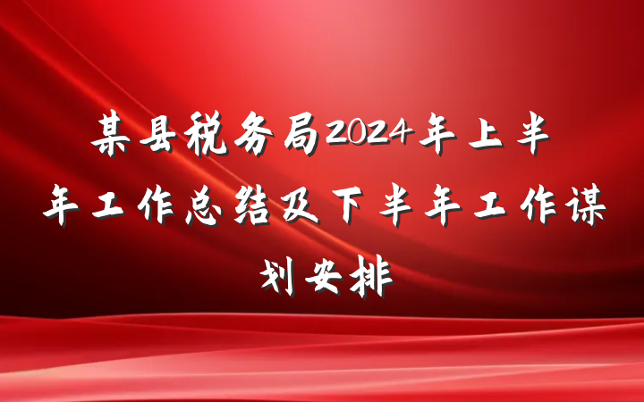 某县税务局2024年上半年工作总结及下半年工作谋划安排