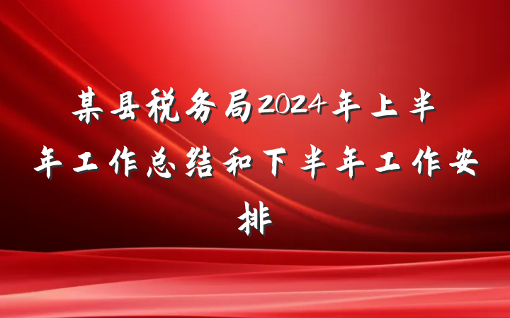 某县税务局2024年上半年工作总结和下半年工作安排