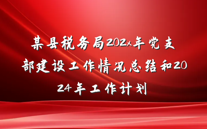 某县税务局202x年党支部建设工作情况总结和2024年工作计划