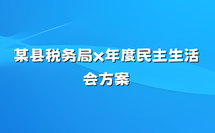 某县税务局x年度民主生活会方案