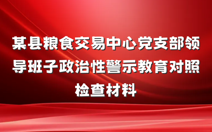 某县粮食交易中心党支部领导班子政治性警示教育对照检查材料