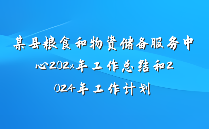 某县粮食和物资储备服务中心202x年工作总结和2024年工作计划