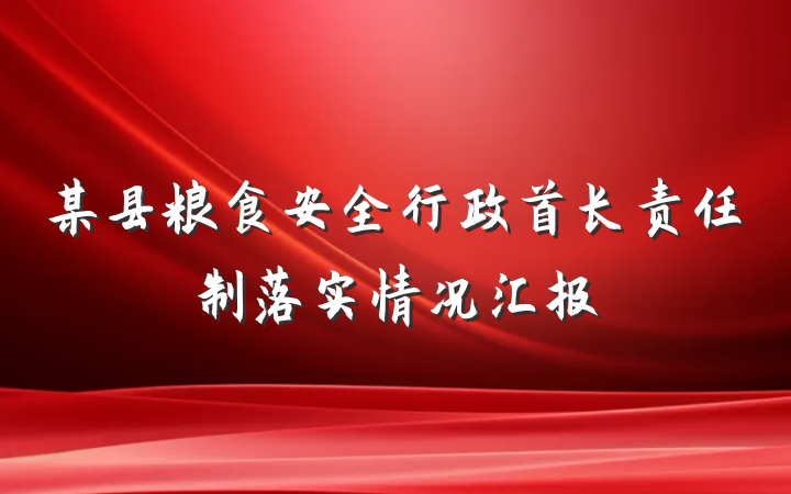 某县粮食安全行政首长责任制落实情况汇报