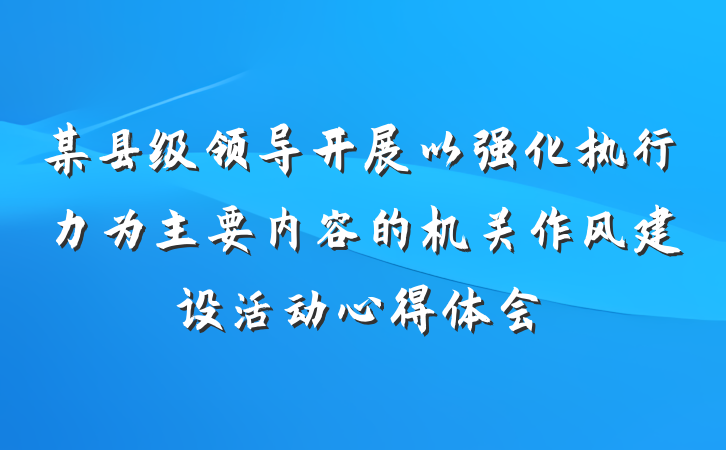 某县级领导开展以强化执行力为主要内容的机关作风建设活动心得体会