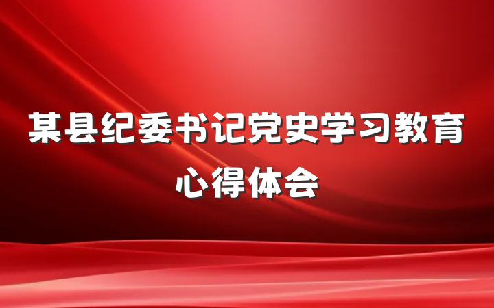 某县纪委书记党史学习教育心得体会