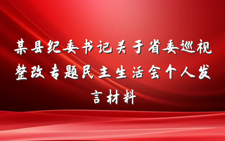 某县纪委书记关于省委巡视整改专题民主生活会个人发言材料