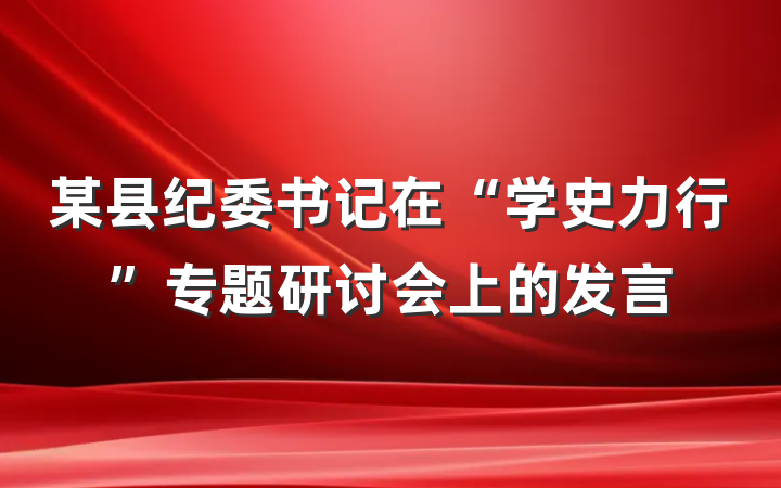 某县纪委书记在“学史力行”专题研讨会上的发言