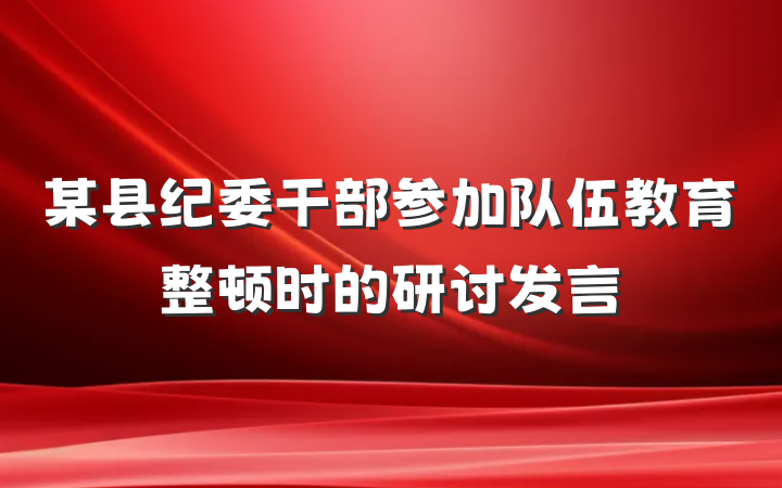 某县纪委干部参加队伍教育整顿时的研讨发言