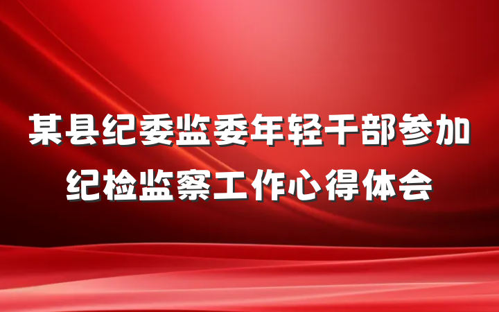 某县纪委监委年轻干部参加纪检监察工作心得体会