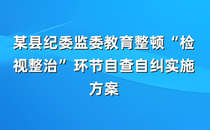 某县纪委监委教育整顿“检视整治”环节自查自纠实施方案