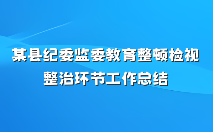 某县纪委监委教育整顿检视整治环节工作总结