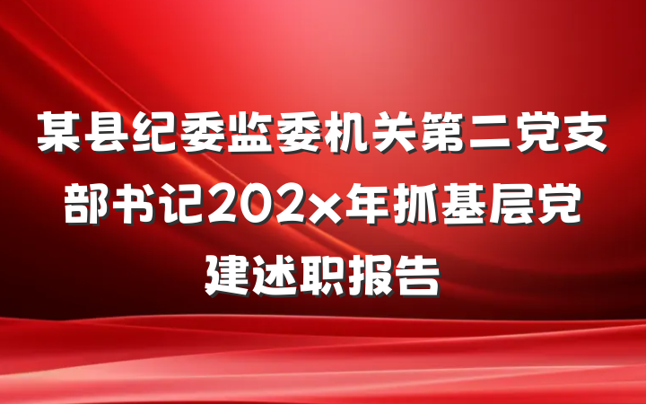 某县纪委监委机关第二党支部书记202x年抓基层党建述职报告