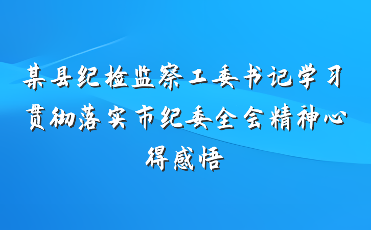 某县纪检监察工委书记学习贯彻落实市纪委全会精神心得感悟