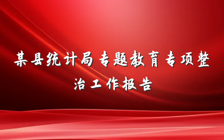 某县统计局专题教育专项整治工作报告
