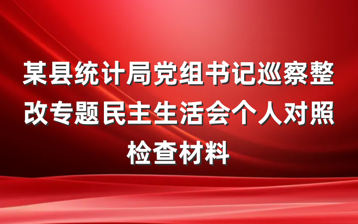某县统计局党组书记巡察整改专题民主生活会个人对照检查材料