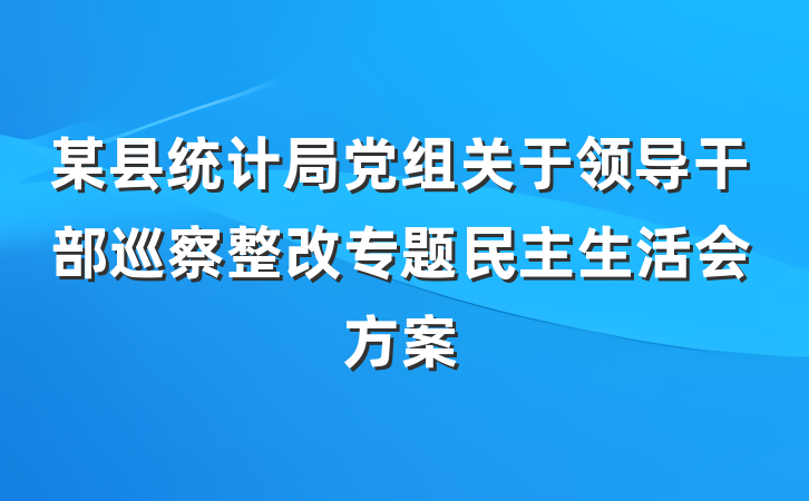 某县统计局党组关于领导干部巡察整改专题民主生活会方案