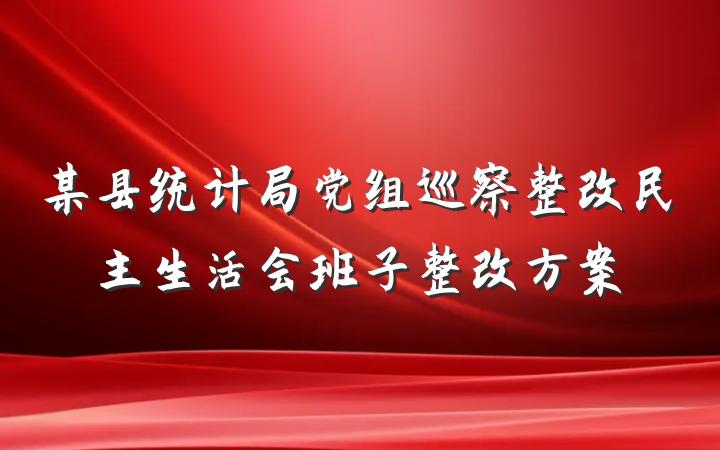 某县统计局党组巡察整改民主生活会班子整改方案
