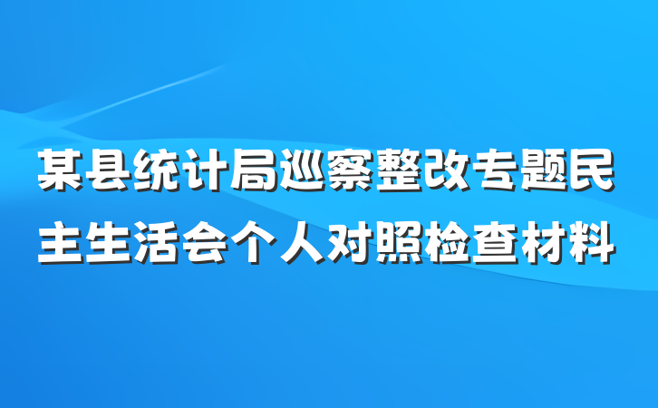 某县统计局巡察整改专题民主生活会个人对照检查材料