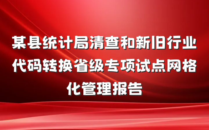 某县统计局清查和新旧行业代码转换省级专项试点网格化管理报告