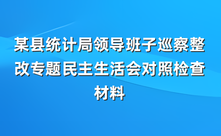 某县统计局领导班子巡察整改专题民主生活会对照检查材料