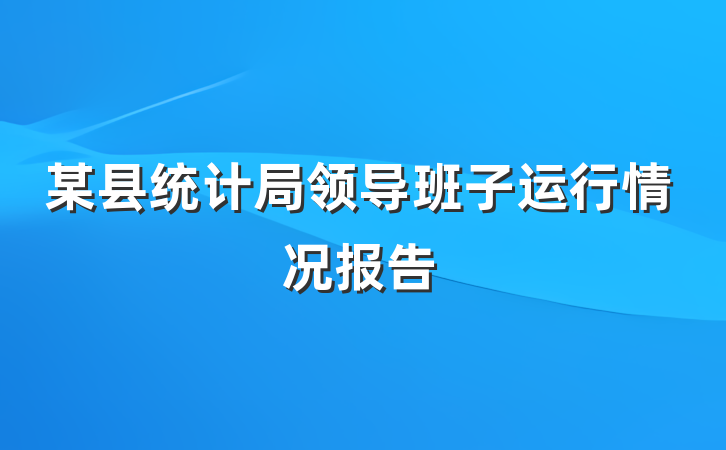 某县统计局领导班子运行情况报告