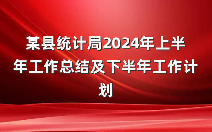某县统计局2024年上半年工作总结及下半年工作计划