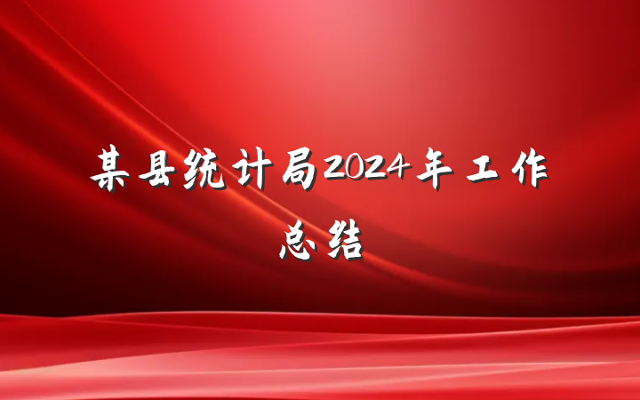 某县统计局2024年工作总结