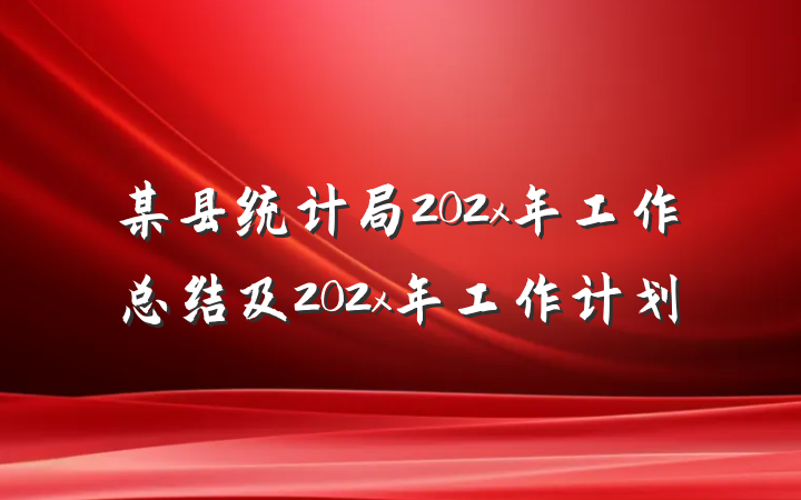 某县统计局202x年工作总结及202x年工作计划
