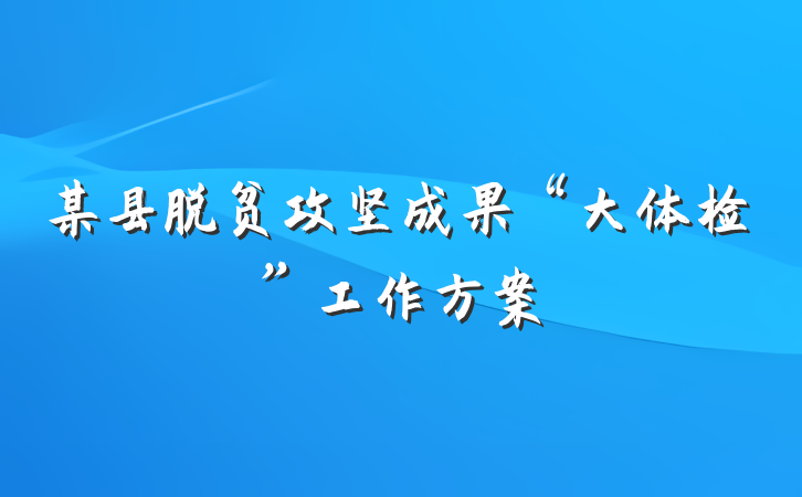 某县脱贫攻坚成果“大体检”工作方案