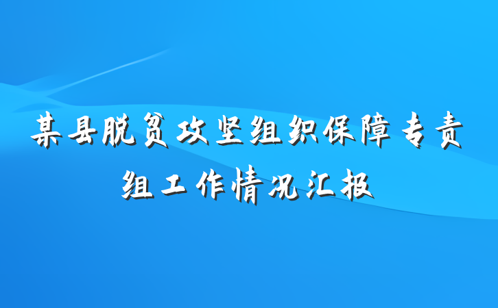 某县脱贫攻坚组织保障专责组工作情况汇报