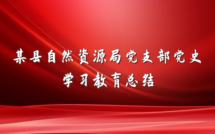 某县自然资源局党支部党史学习教育总结